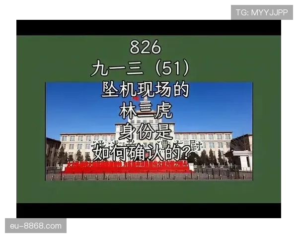 视频回放判罚规则解析：什么情况下可以启动回看？